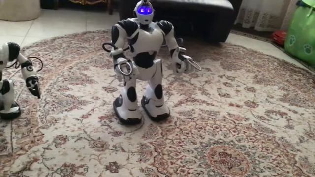 Роботы WoWWee