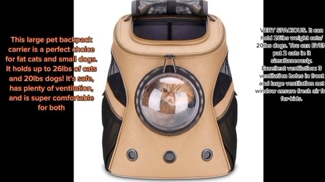 Top 5 best pet carrier backpack in 2022.