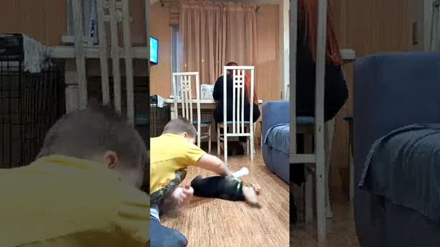 играю с вини