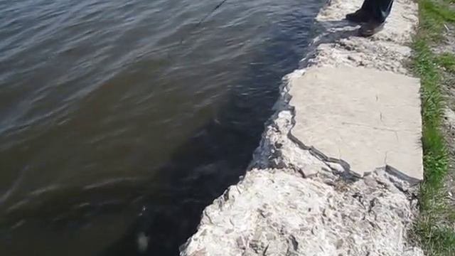 Canada Lake Oka..ribolov Na Patuljane,ribolov Kakav Bi Pozelio Svakom Da Ga Dozivi.