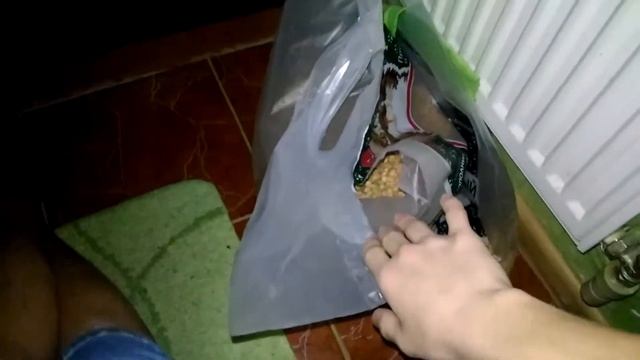 24 часа в туалете
