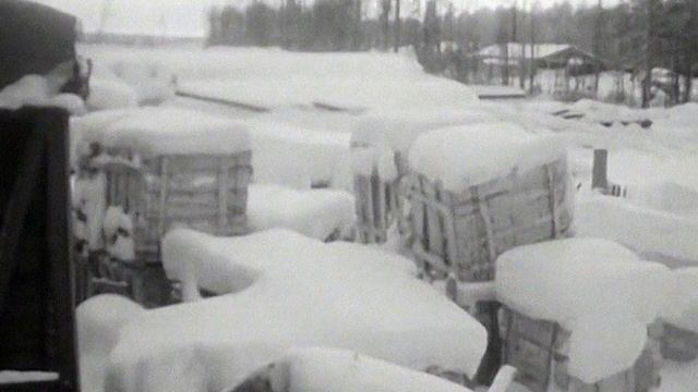 1985 год. Сургутский район. Простой вагонов