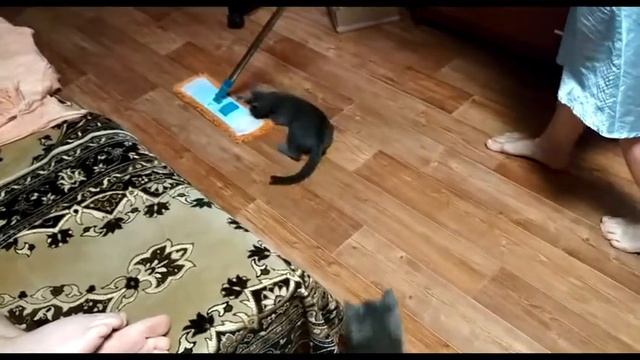 Том и Джери. Катание на швабре.