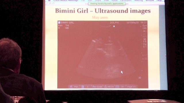 Reproductive success of smalltooth sawfish, Pristis pectinata, at Atlantis, Paradise Island, Bahamas