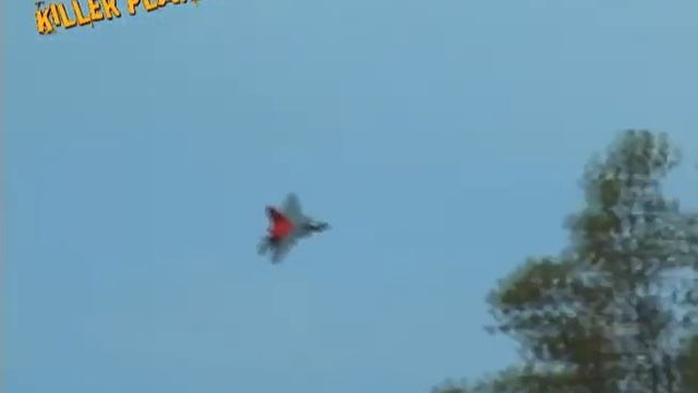 Power Up with the Freewing F-22 Raptor 64mm with Killer Planes Reinforcement