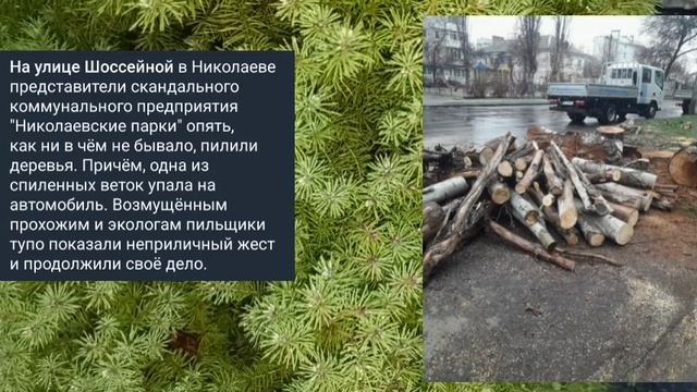 Николаев 5 февраля 2025 года (новости)