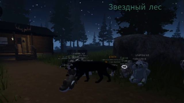 собрались стайкой^^