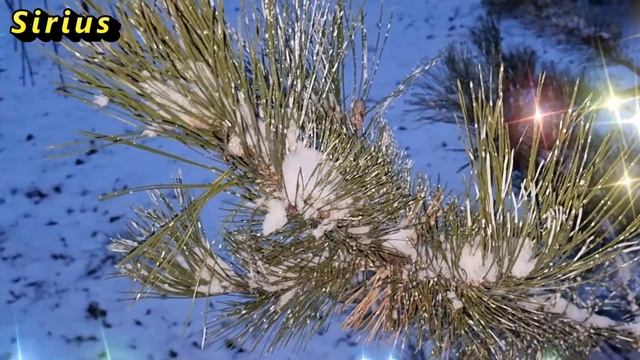 Какие знаки зодиака начнут вести здоровый образ жизни во второй половине декабря 2022 года