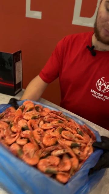 Креветки Северные Магаданрыба от Раковрни "RedRaki"