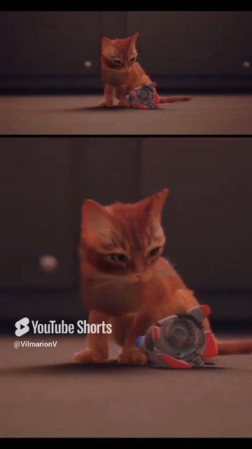 Очень трогательный момент😿 #vilmarionv #stray #strayпрохождение #стрей #кот #gaming #games #игры