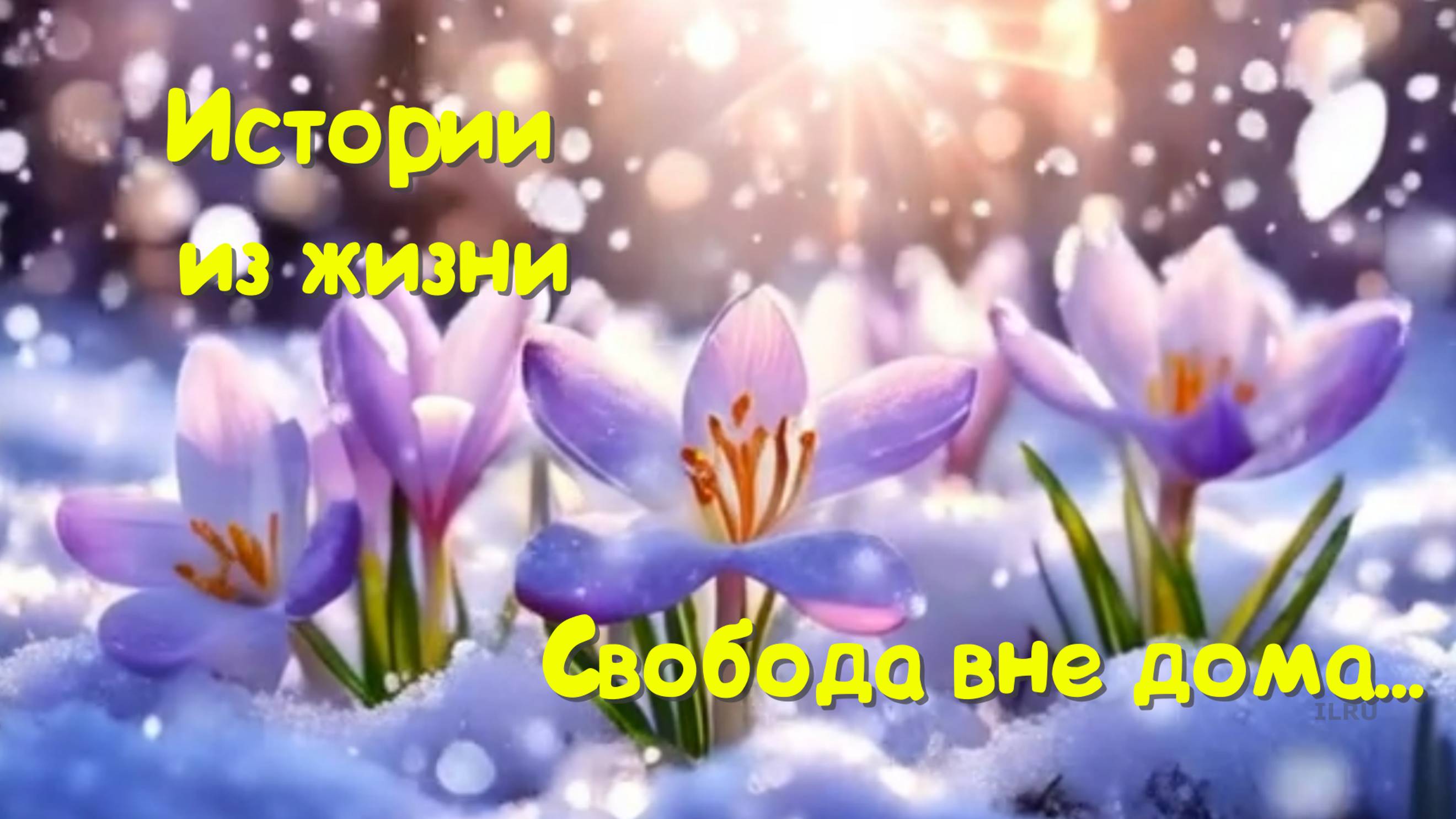 Жизненные истории - Свобода вне дома - Истории из жизни - Измена