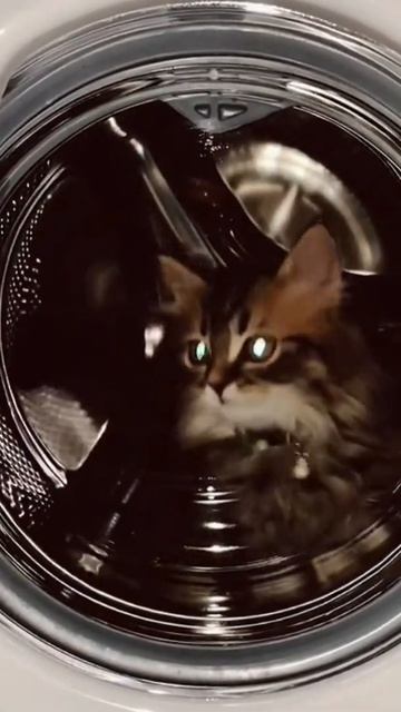 Космонавт 😼🌍😻