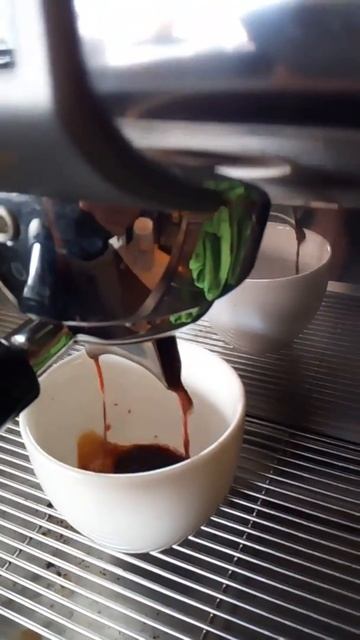 Lavazza  doppio cimbalı m24