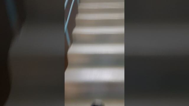20250205_123818.mp4