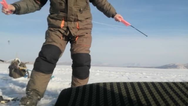 1часть. Хасанский район. П. Рыбак. Бухта Северная. Навага на комбайны.