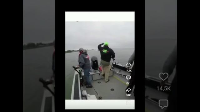 Это Сюрприз 🤣 Сборник смешных видео