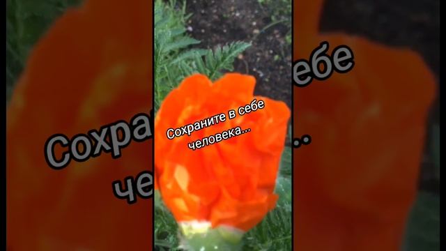 Сохраните в себе человека