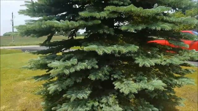 How To Correctly Ride a Dirt bike!!!