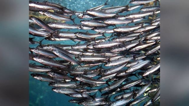 10 RESOURCES Our Planet Is Running Out Of and Can Never Get Back
