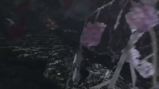 Tomb Raider : Волки