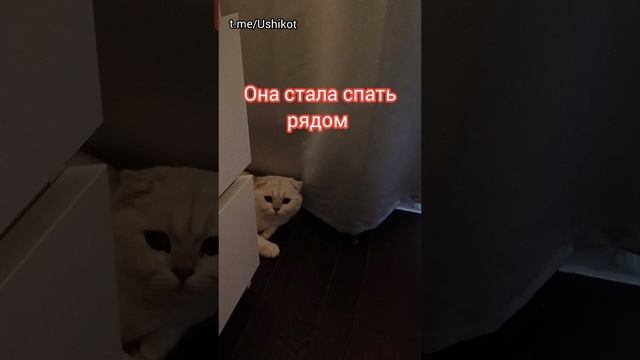 Ася ❤