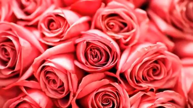 Слушать самую свежую русскую песню и фото в хорошем...