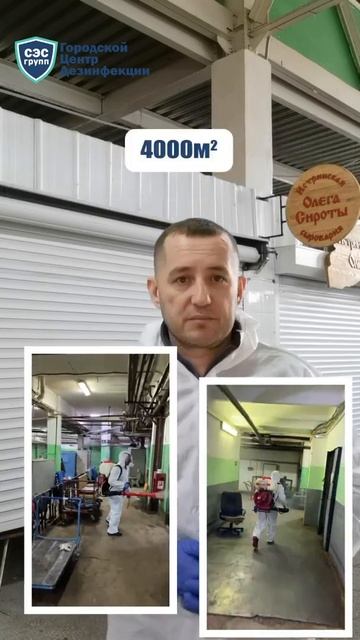 Дезинсекция рынка от тараканов