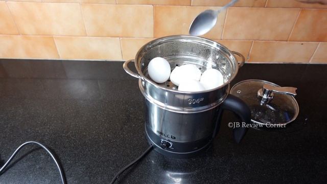 Multipurpose Kettle | iBell Stainless Steel Kettle Review