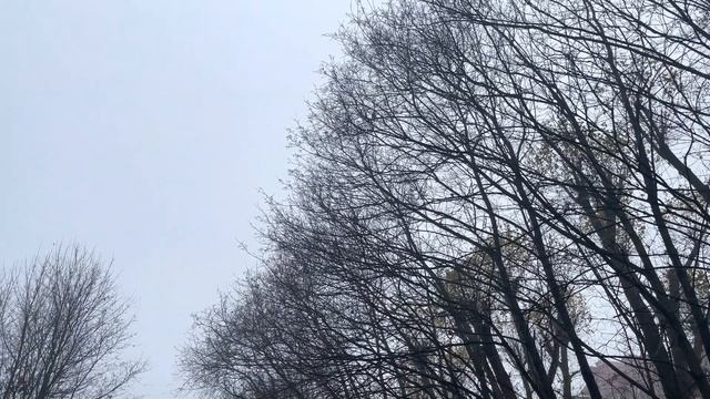 2 ноября 2021. Тёмное время