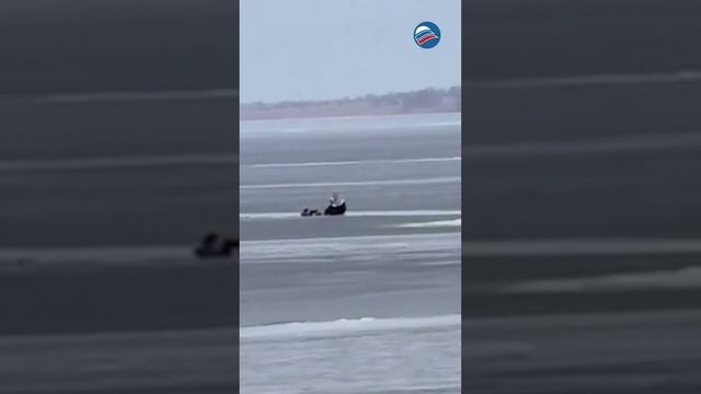 Спасение на замёрзшем озере: двое храбрецов решились на риск ради собаки