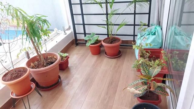 Vacuum Cleaner |Euroclean |Euroclean Mop n Vac Vacuum Cleaner |Eureka Forbes