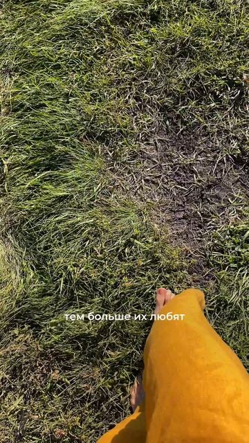 Чаша весов Мечты & Потребности