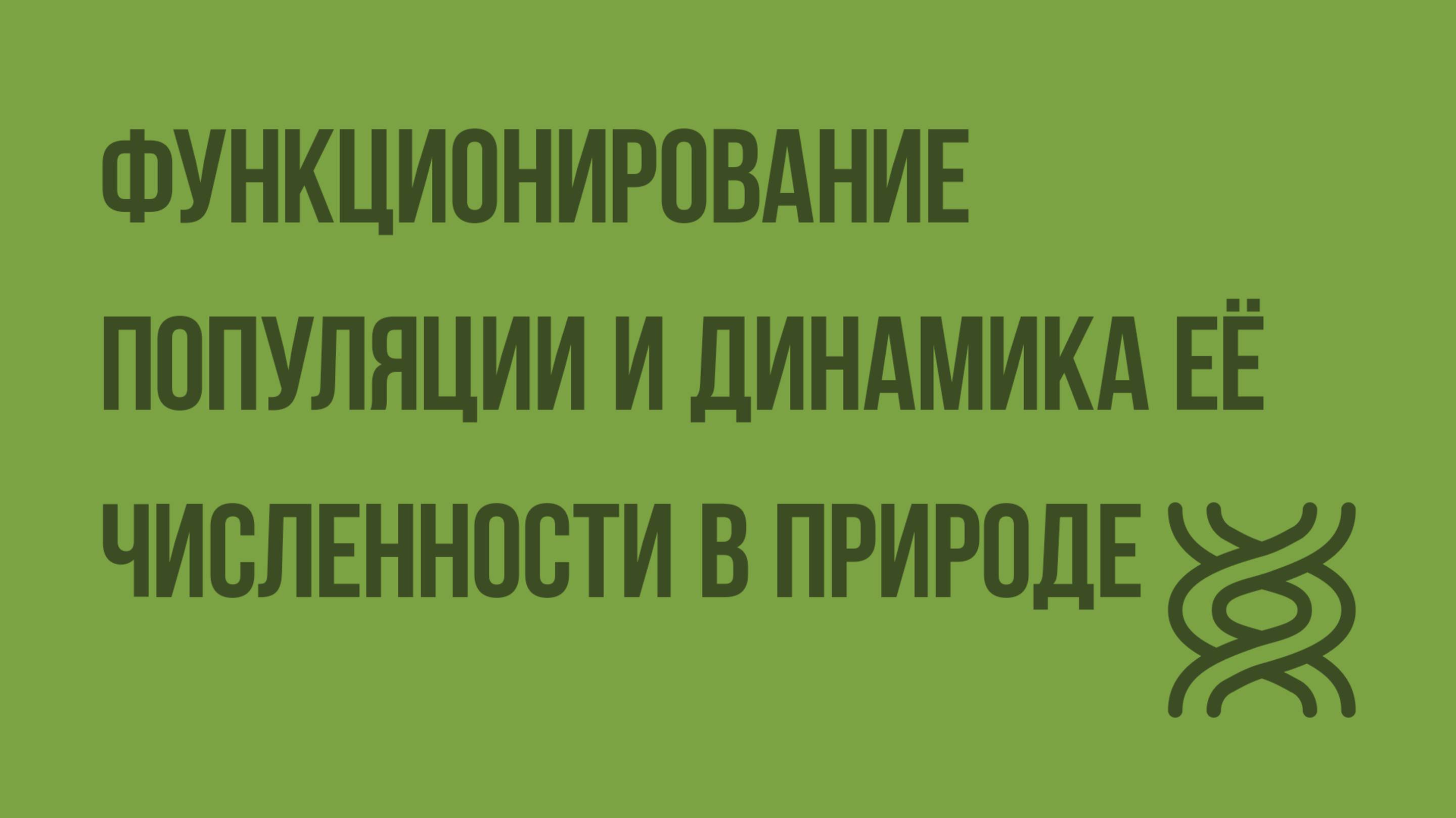 Функционирование популяции и динамика ее численности в природе. Видеоурок по биологии 9 класс