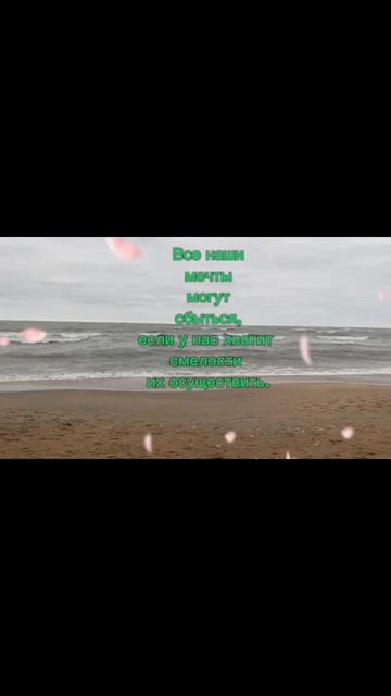 scene_output.mp4