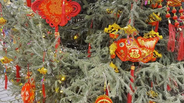 Московский Китайский Новый Год  январь - февраль 2025