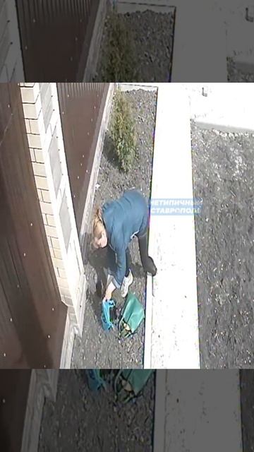 В Ставрополе попали на видео женщины, укравшие тую