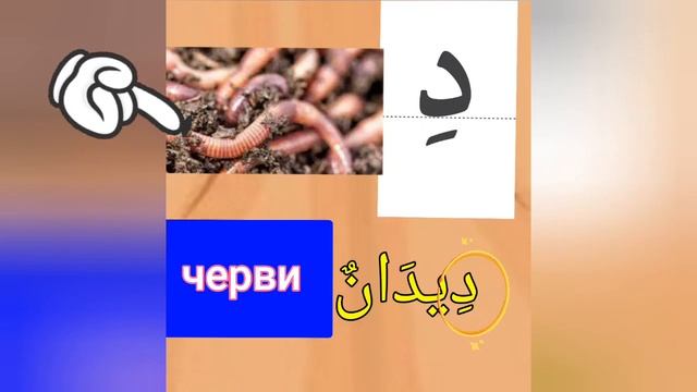 арабский для начинающих . арабский алфавит . Арабские буквы, буква тааль