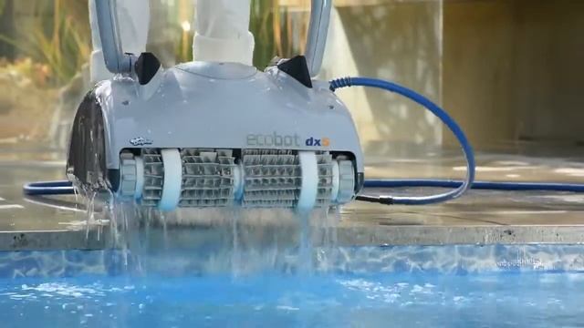 Robot piscine électrique Dolphin ECOBOT DX5 - Présentation - RobotPiscine.fr