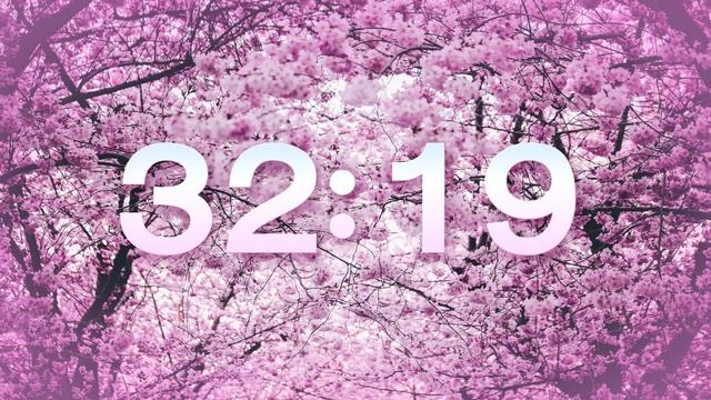 SPRING 65 MIN TIMER