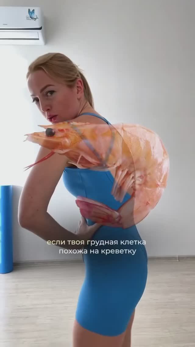 5 открытых тренировок