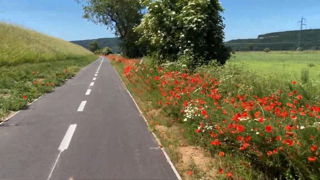 Cyklotrasa Nemšová→Trenčín→Nové Mesto→Piešťany. Dĺžka 57 Km.