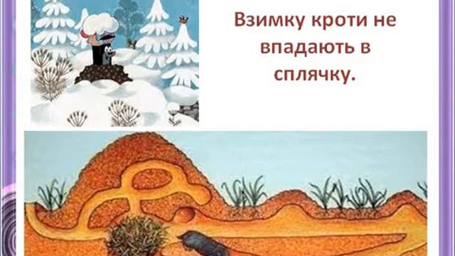 Створення оригінальних образів. Створення образу крота. Мистецтво НУШ. Як намалювати крота.
