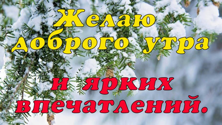 Желаю доброго утра и ярких впечатлений😉