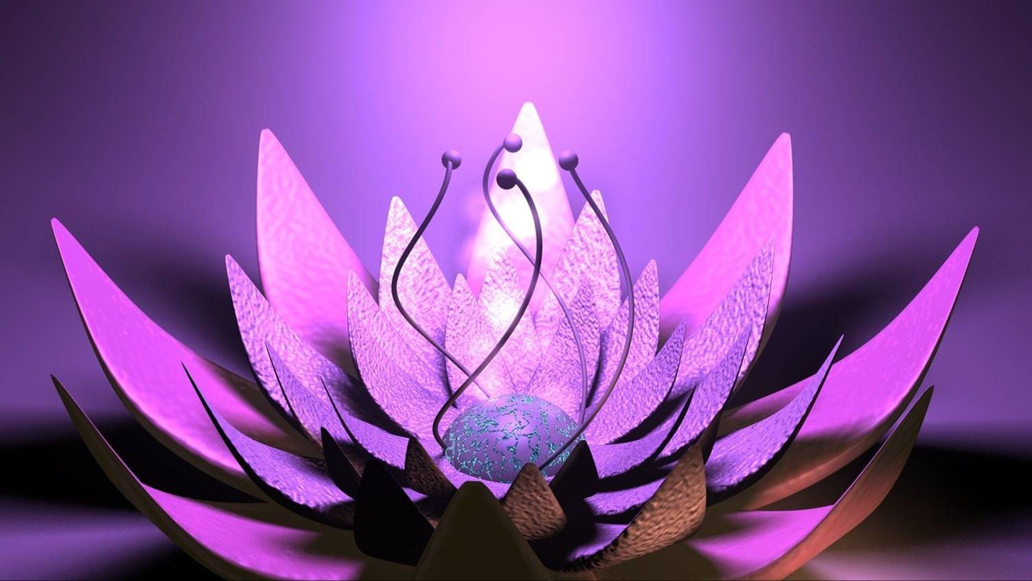 Orchestra " Lounge Lion-ivanish" When the Lotus blooms / Когда цветет Лотос