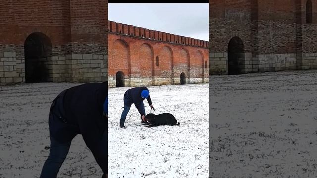 Звезда Давида АннаБель. Первое занятие.Ищем ответственные,активные руки