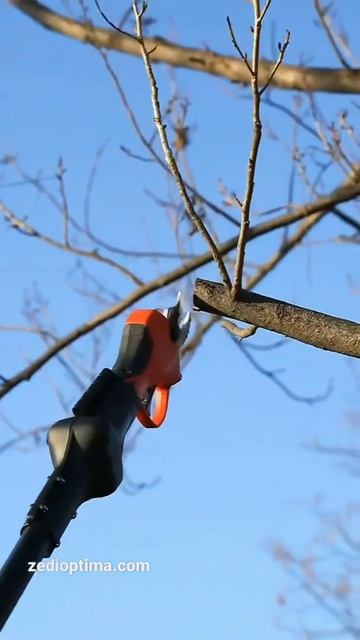 Telescopic Pruner #shorts #tools #diy