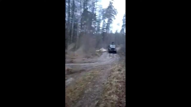 Урал за лесом