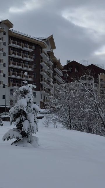 Свежий снег окутал горы ❄️