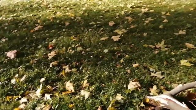 штормовое полнолуние