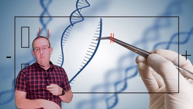 A Level Biology: Biotech Basics: Gel Electrophoresis